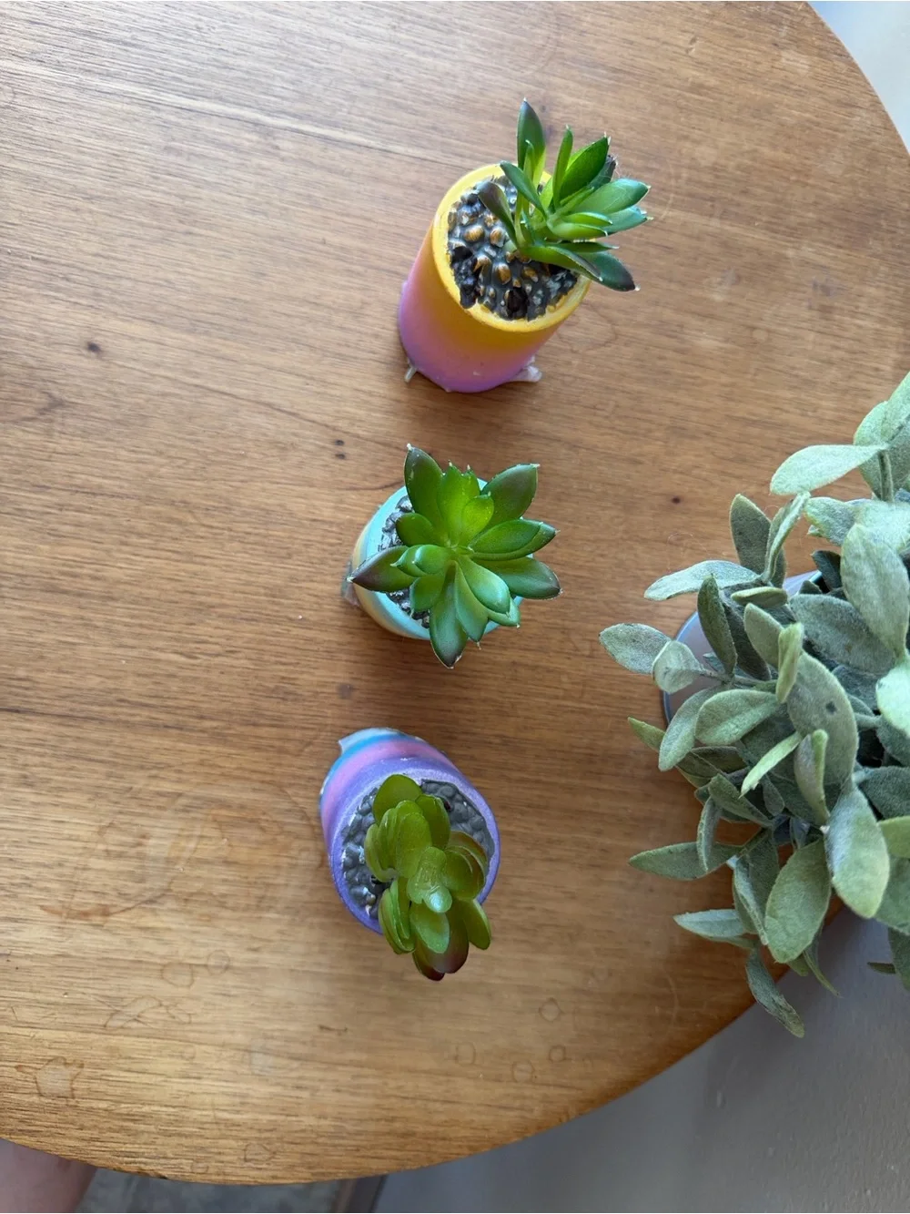 Hobby Lobby Gradient ombré Mini Succulent Planters